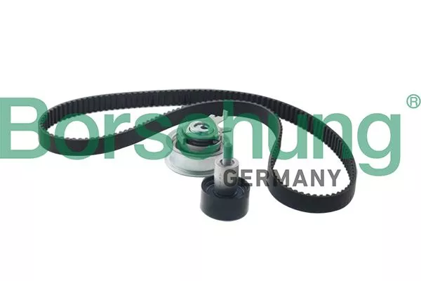 Borsehung B10210 Комплект ремня ГРМ