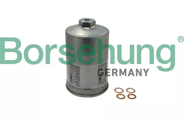 Borsehung B19091 Паливний фільтр