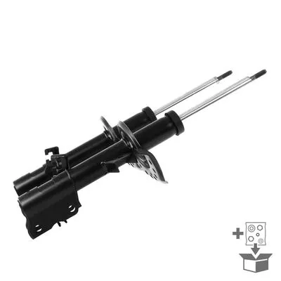 Monroe D0025 Амортизатор