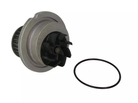Thermotec D10018TT Помпа