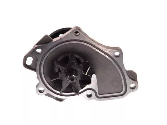 Thermotec D12004TT Помпа