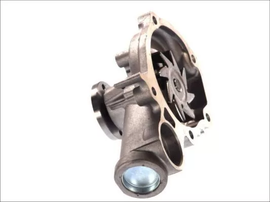Thermotec D15046TT Помпа