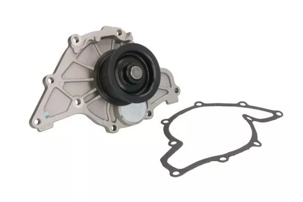 Thermotec D1A008TT Помпа