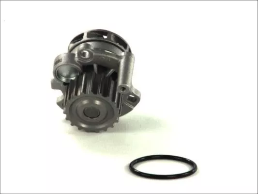Thermotec D1A023TT Помпа