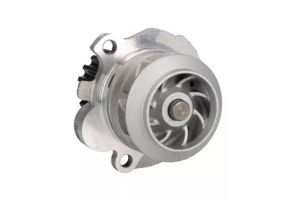 Thermotec D1A024TT Помпа