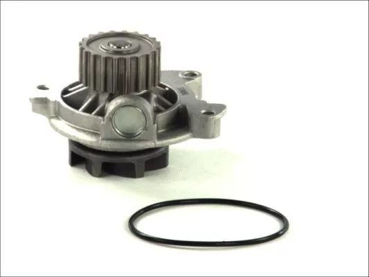 Thermotec D1A027TT Помпа
