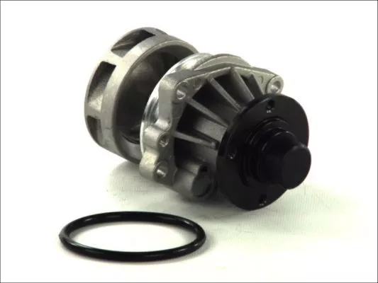 Thermotec D1B018TT Помпа