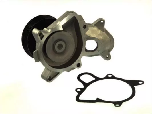 Thermotec D1B031TT Помпа