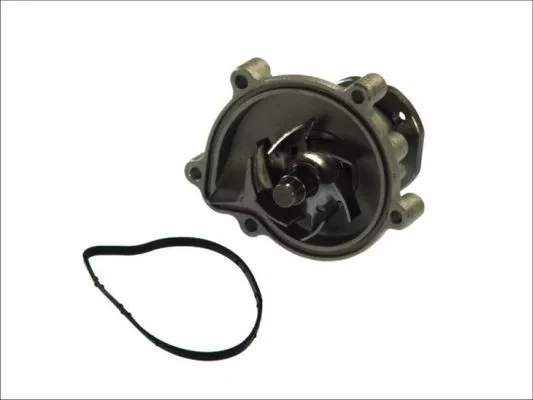 Thermotec D1M051TT Помпа