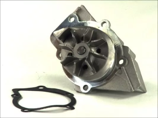 Thermotec D1P000TT Помпа