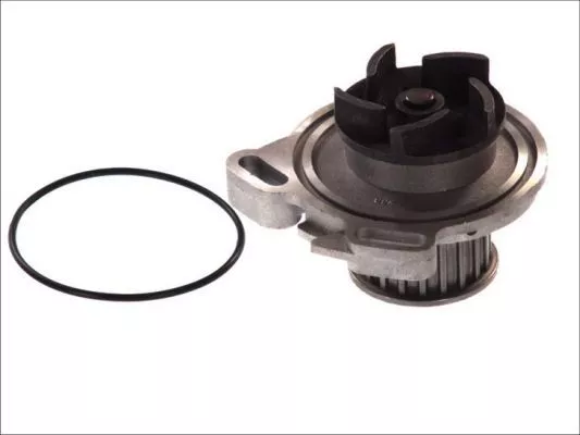 Thermotec D1W004TT Помпа