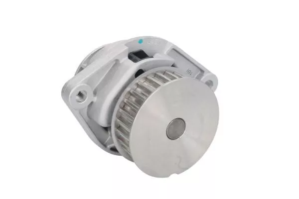 Thermotec D1W019TT Помпа