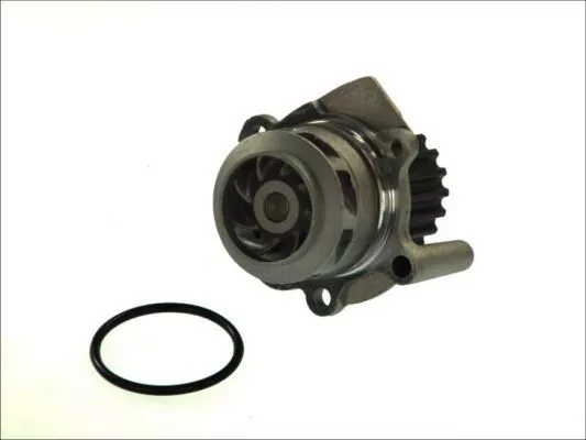 Thermotec D1W048TT Помпа