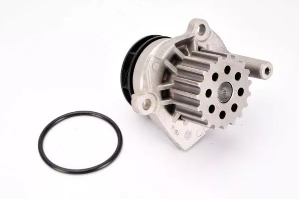 Thermotec D1W049TT Помпа