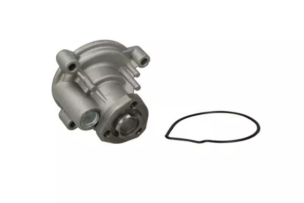 Thermotec D1W056TT Помпа