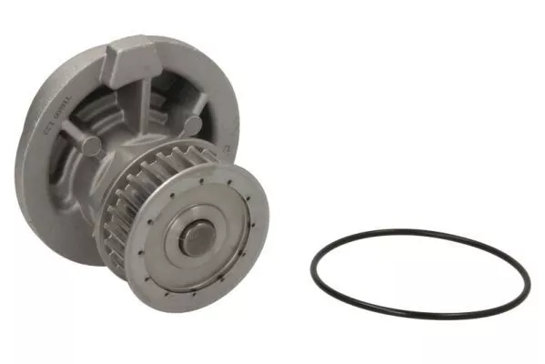 Thermotec D1X021TT Помпа