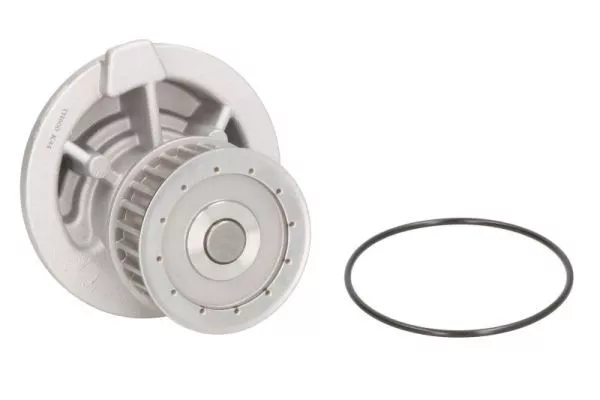 Thermotec D1X023TT Помпа