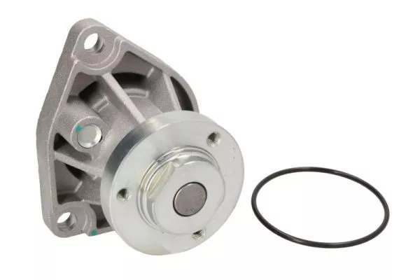 Thermotec D1X027TT Помпа