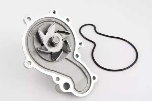 Thermotec D1Y002TT Помпа