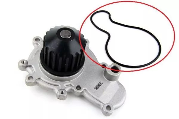 Thermotec D1Y002TT Помпа