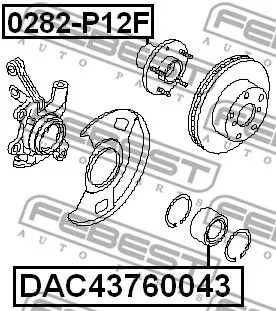 Febest DAC43760043 Підшипник ступиці колеса