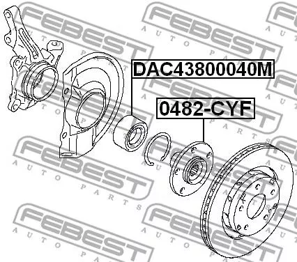 Febest DAC43800040M Підшипник ступиці колеса