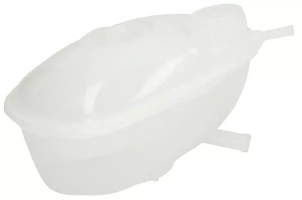 Thermotec DBW002TT Расширительный бачок