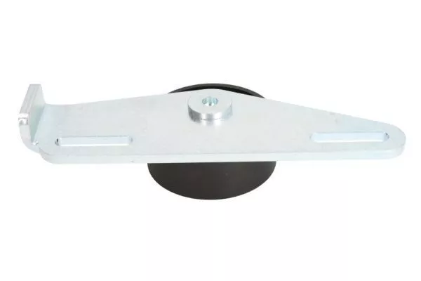 Bta E2R0022BTA Ролик ремня генератора