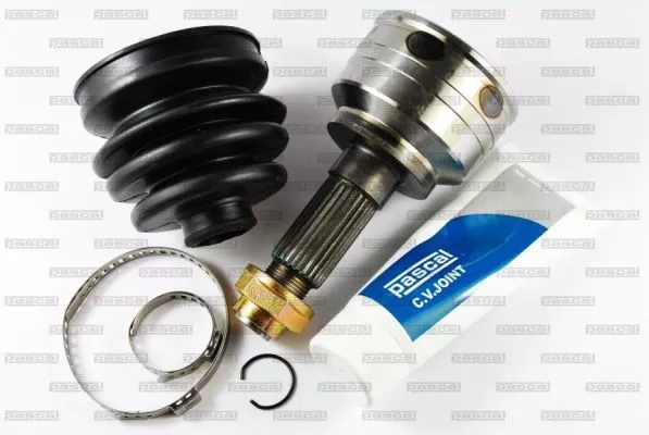 PASCAL G10319PC ШРУС