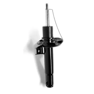 Monroe G16495 Амортизатор