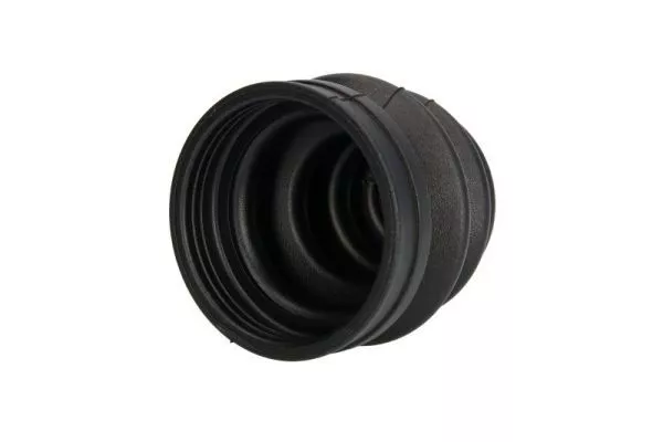 PASCAL G50006PC Пыльник шруса