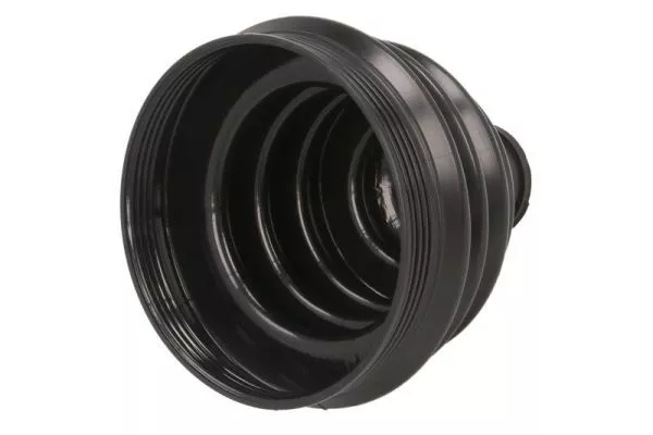 PASCAL G5F041PC Пильник шркш