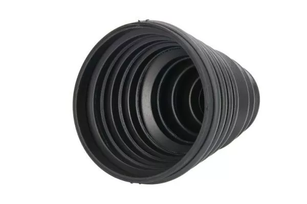 PASCAL G5U003PC Пыльник шруса