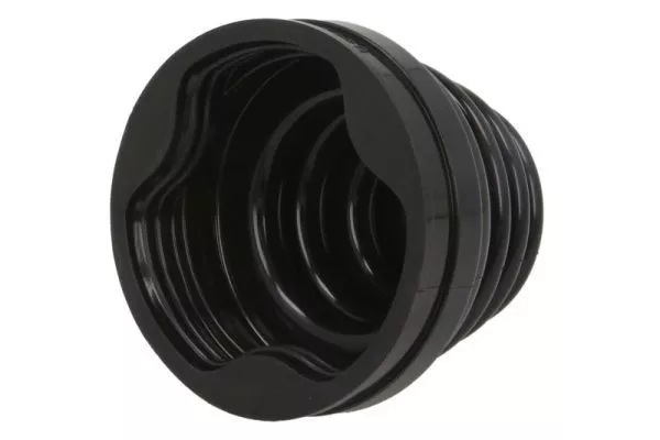 PASCAL G62003PC Пыльник шруса