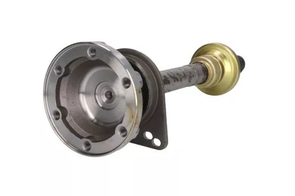 PASCAL G8W005PC ШРУС