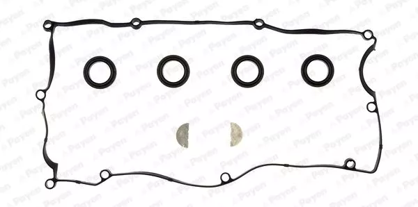PAYEN HM5374 Прокладка клапанной крышки