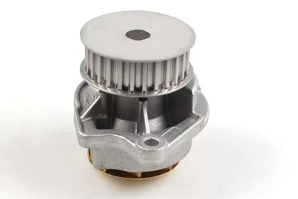 HEPU P557 Помпа