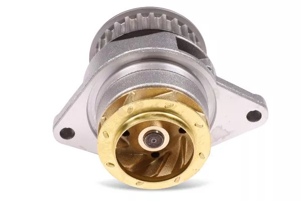 HEPU P558 Помпа