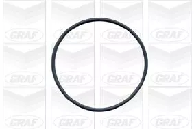 GRAF PA103 Помпа