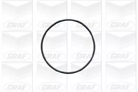 GRAF PA541 Помпа