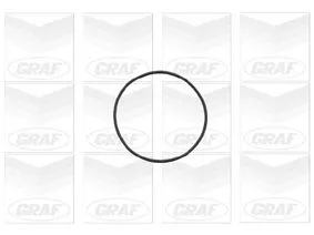 GRAF PA696 Помпа