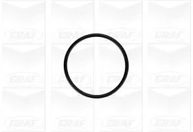 GRAF PA879 Помпа