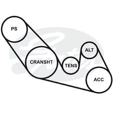 GATES 4PK773 Ремень генератора