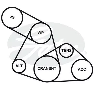 GATES 6223MC Клиновой ремень