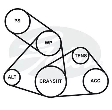 GATES 6460MC Клиновий ремінь