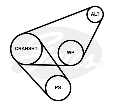 GATES 6PK923 Ремень генератора