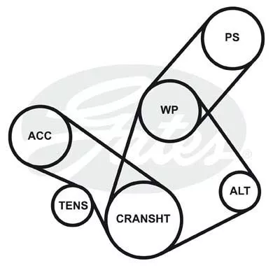 GATES 4PK823 Ремень генератора