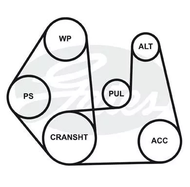 GATES 4PK1123 Ремень генератора