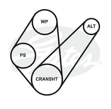 GATES 4PK823 Ремень генератора