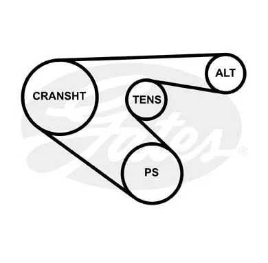 GATES 5PK1013 Ремень генератора